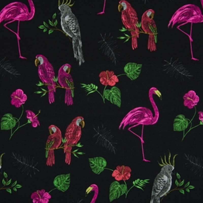 Ara, papegoja, flamingo