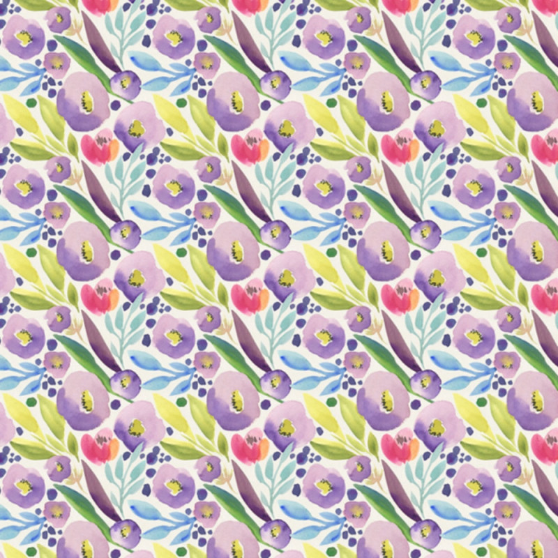 Krokus lila vårblomma