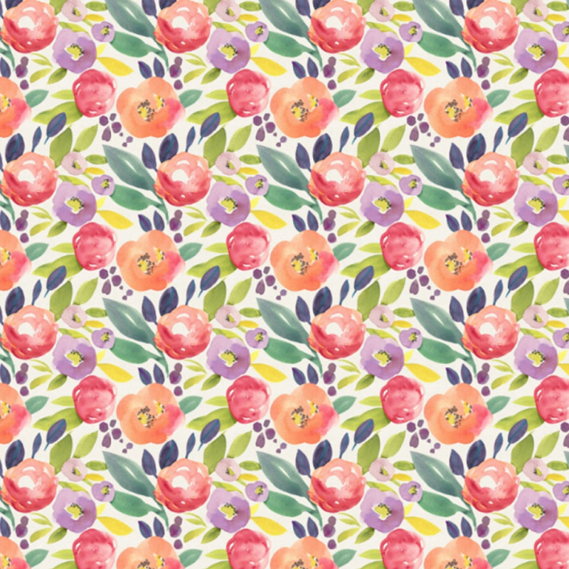 Krokus orange vårblomma