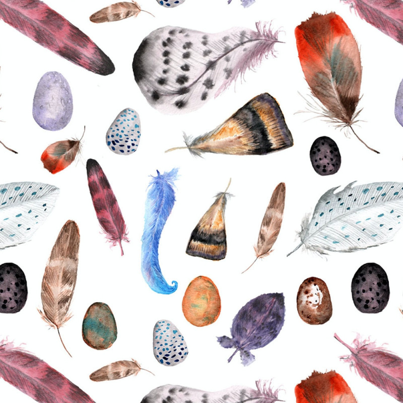 Fjädrar och ägg