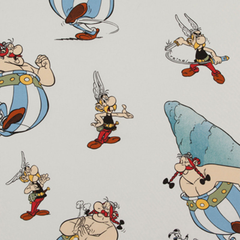 Asterix & Obelix