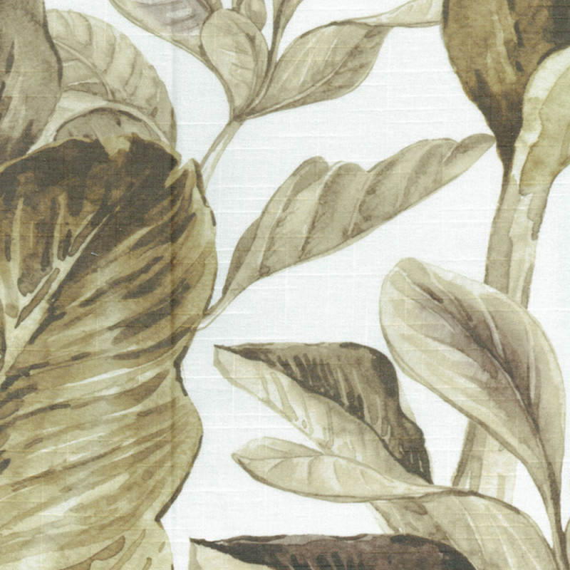 Nilo digi Levisa brun