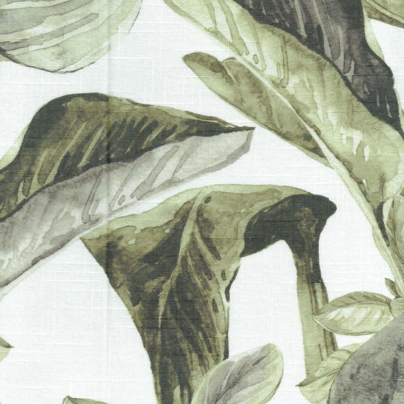 Nilo digi Levisa oliv