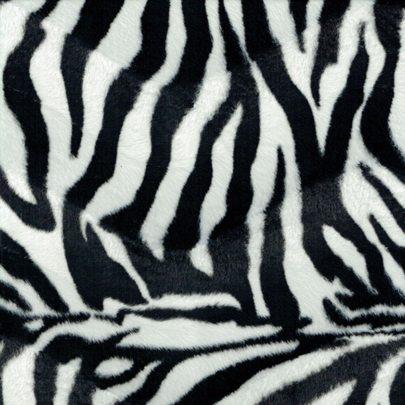 Velbour zebra