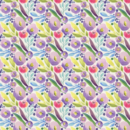 Krokus lila vårblomma