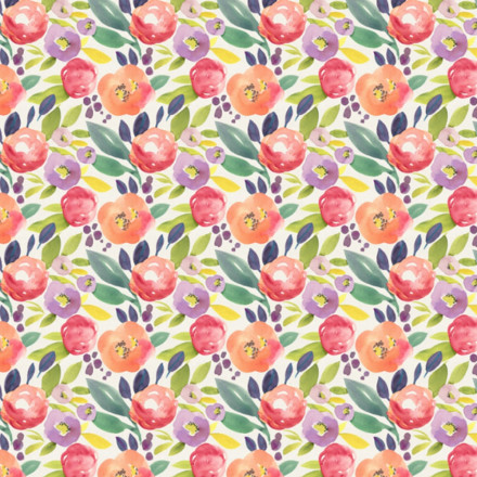 Krokus orange vårblomma