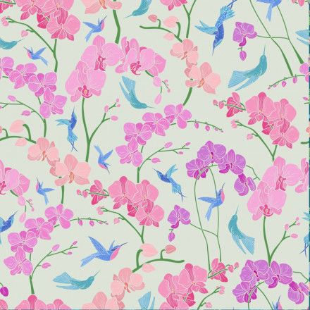 Orkide ljusblå botten