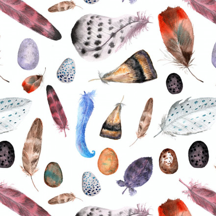 Fjädrar och ägg