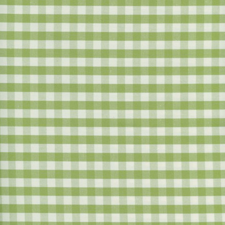 Gingham eko ruta grön