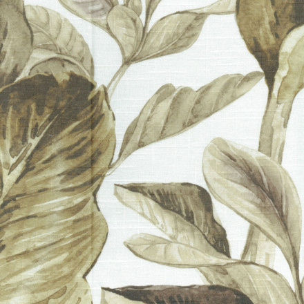 Nilo digi Levisa brun