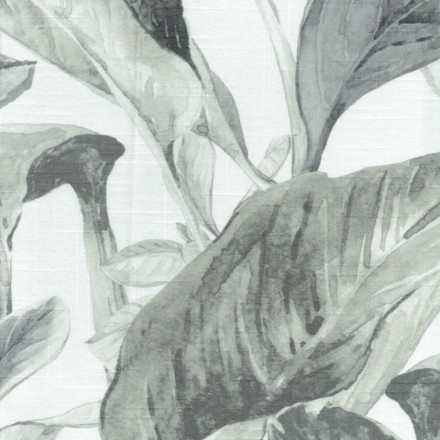 Nilo digi Levisa svart