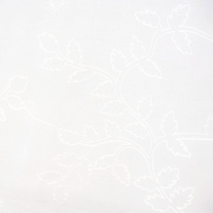 Olivia brodyr offwhite