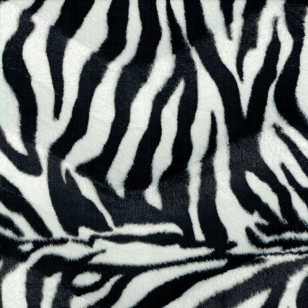 Velbour zebra