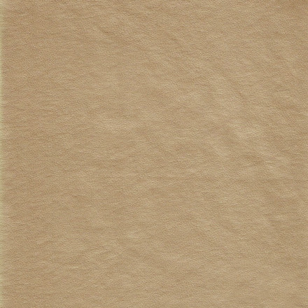 Galon metallica brun 001