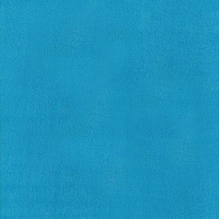 Fleece 06 turkos enf