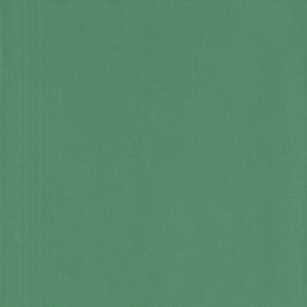 Bävernylon 15 lj grön