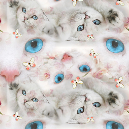 Katt vit