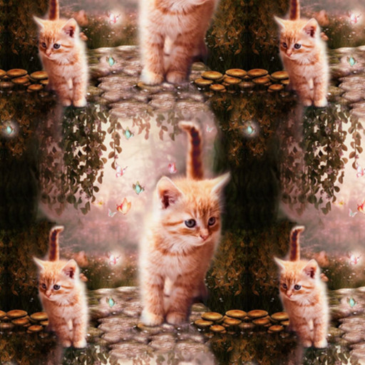 Kattmagi